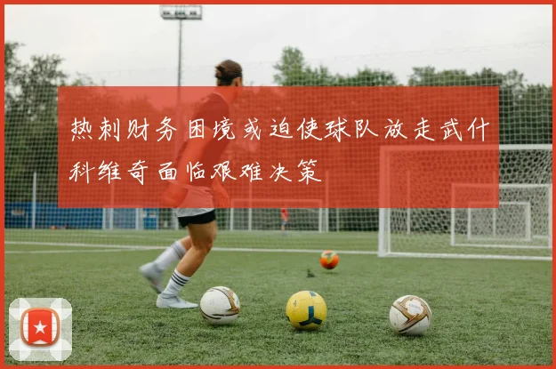 热刺财务困境或迫使球队放走武什科维奇面临艰难决策