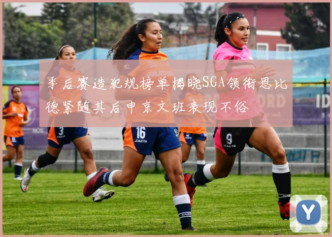季后赛造犯规榜单揭晓SGA领衔恩比德紧随其后申京文班表现不俗