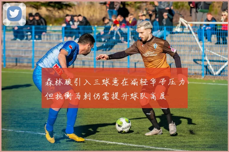 森林狼引入三球意在减轻华子压力但抗衡马刺仍需提升球队高度